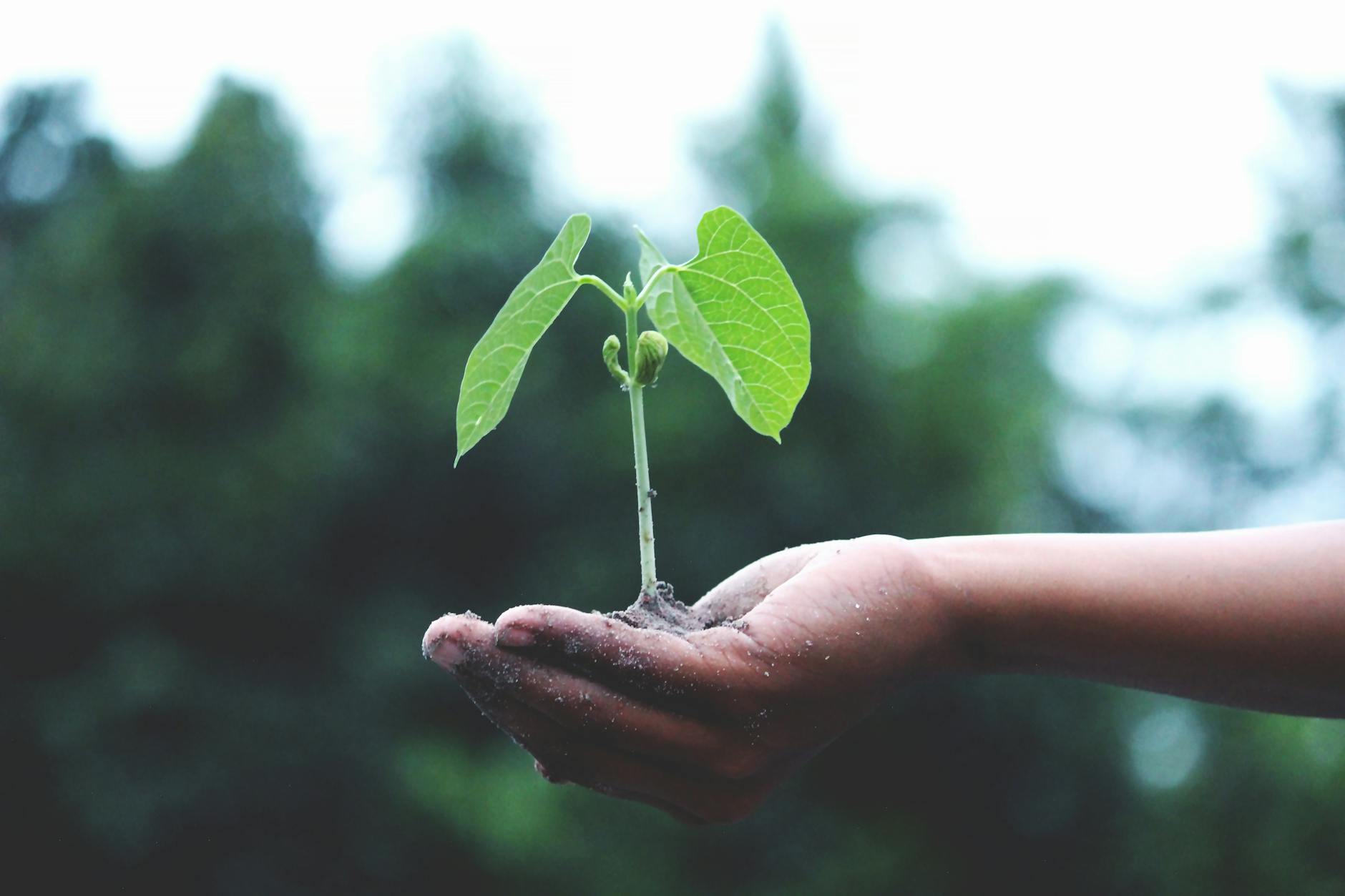 Health & Environmental Stewardship