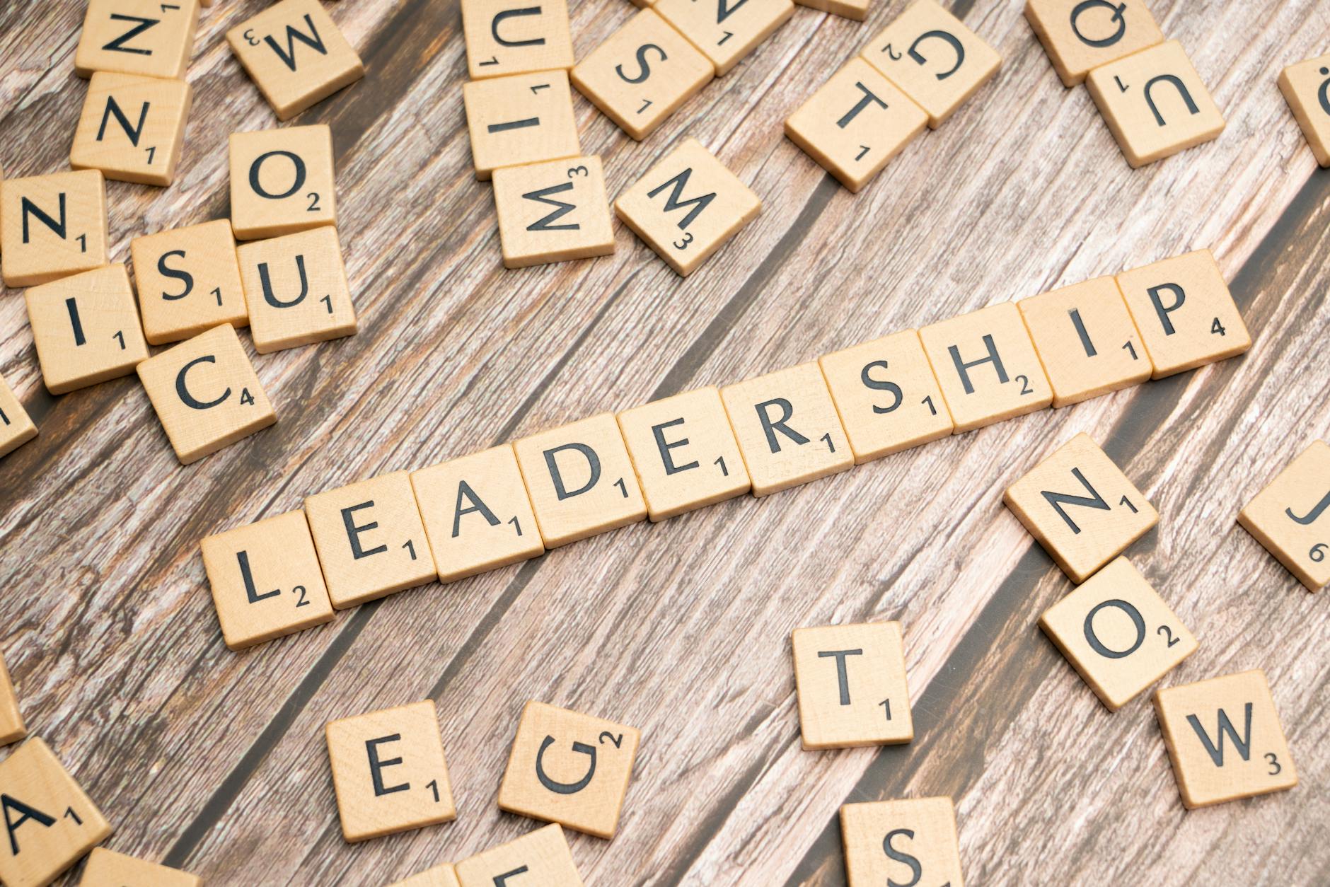 Governance & Leadership Case Studies