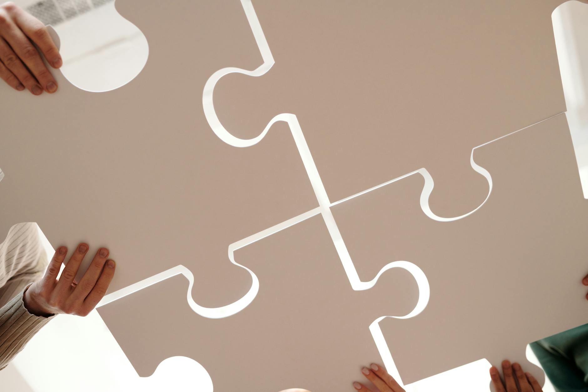 Social & Human Services Integration